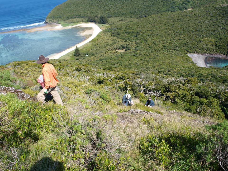 Lord Howe Island 2013